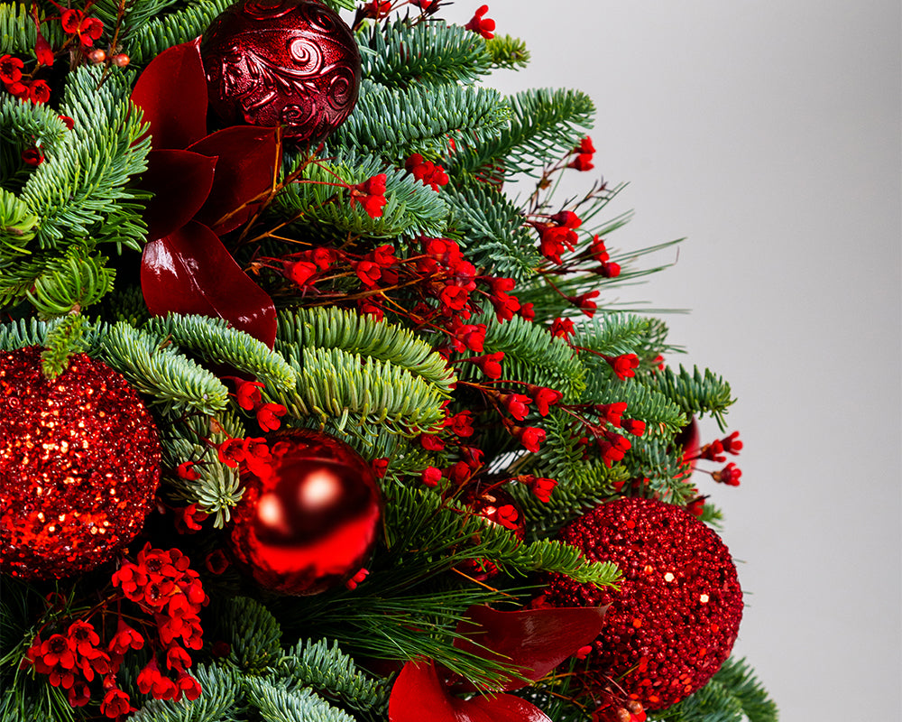 The Scarlet Glow Mini Tree