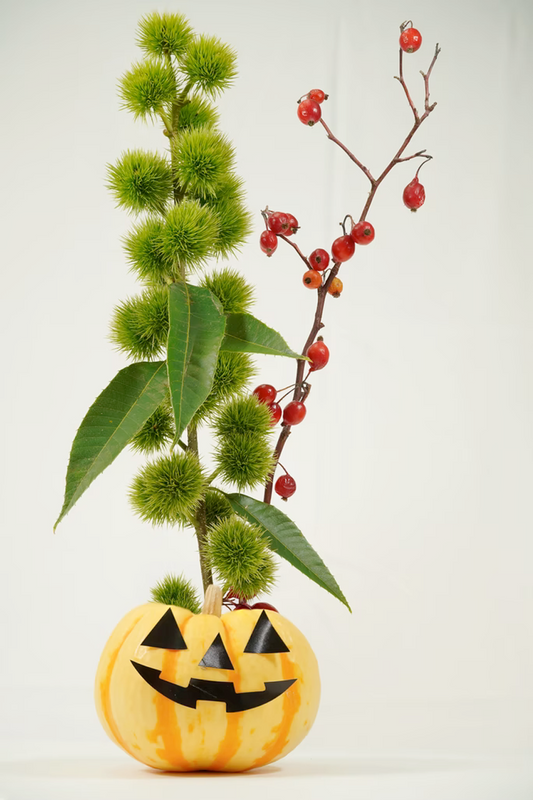 Boo-tiful spooky flower ideas for Halloween decorations - CherryBlossomDubai.ae