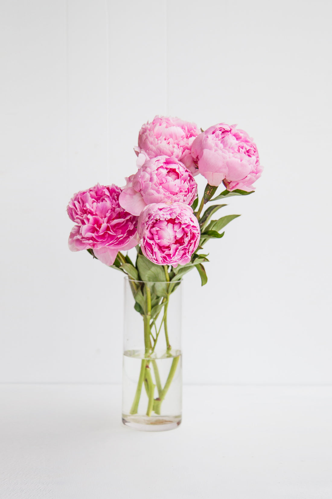 Spotlight on Peonies: Summer's favourite flower - CherryBlossomDubai.ae