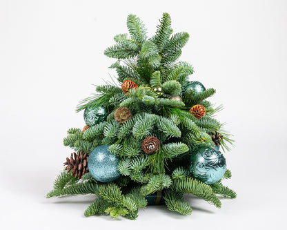 Magical Evergreen Mini Christmas Tree