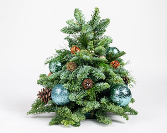 Magical Evergreen Mini Christmas Tree