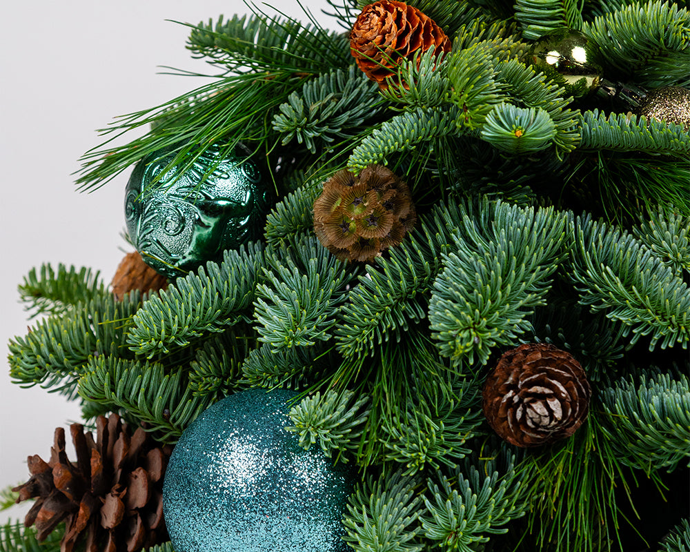 Magical Evergreen Mini Christmas Tree