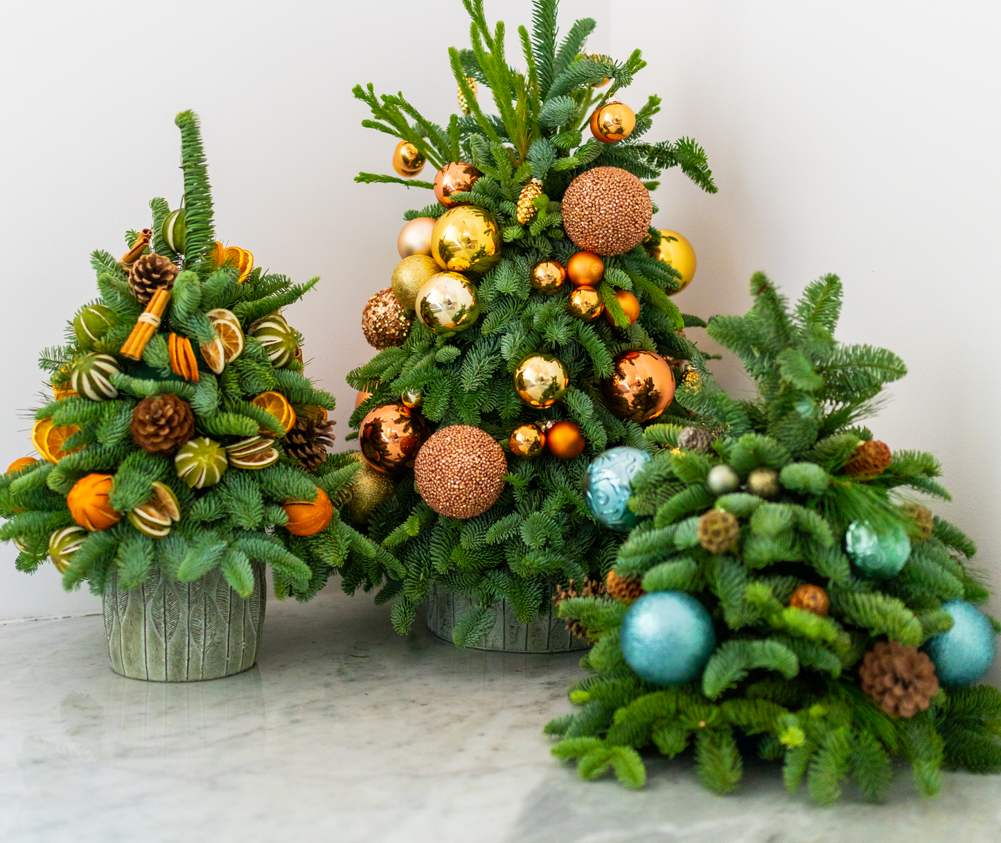 Magical Evergreen Mini Christmas Tree
