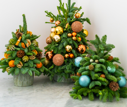 Magical Evergreen Mini Christmas Tree