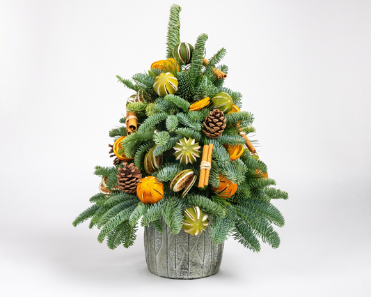 The Traditional Mini Christmas Tree