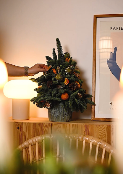 The Traditional Mini Christmas Tree