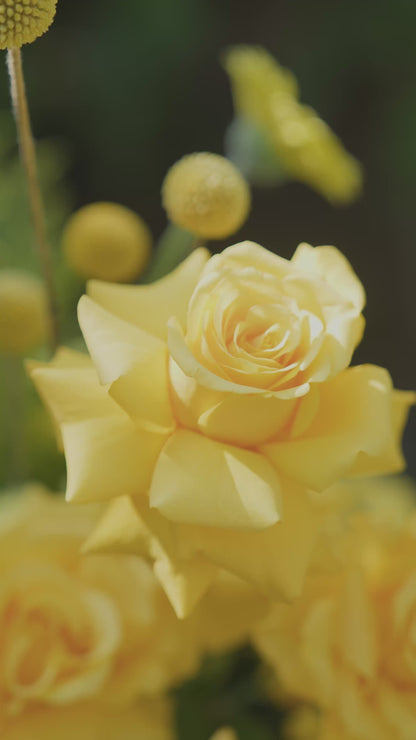 Soleil Ramadan Vase