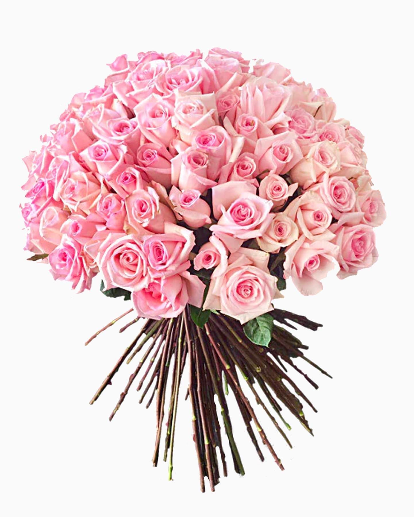 Luxury-Pink-Rose-flowers-Dubai 