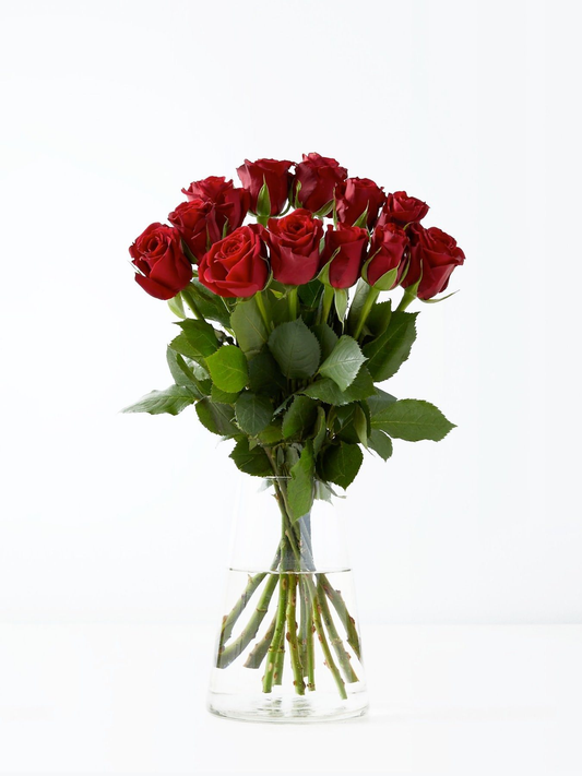 12 Red Roses in Vase - CherryBlossomDubai.ae