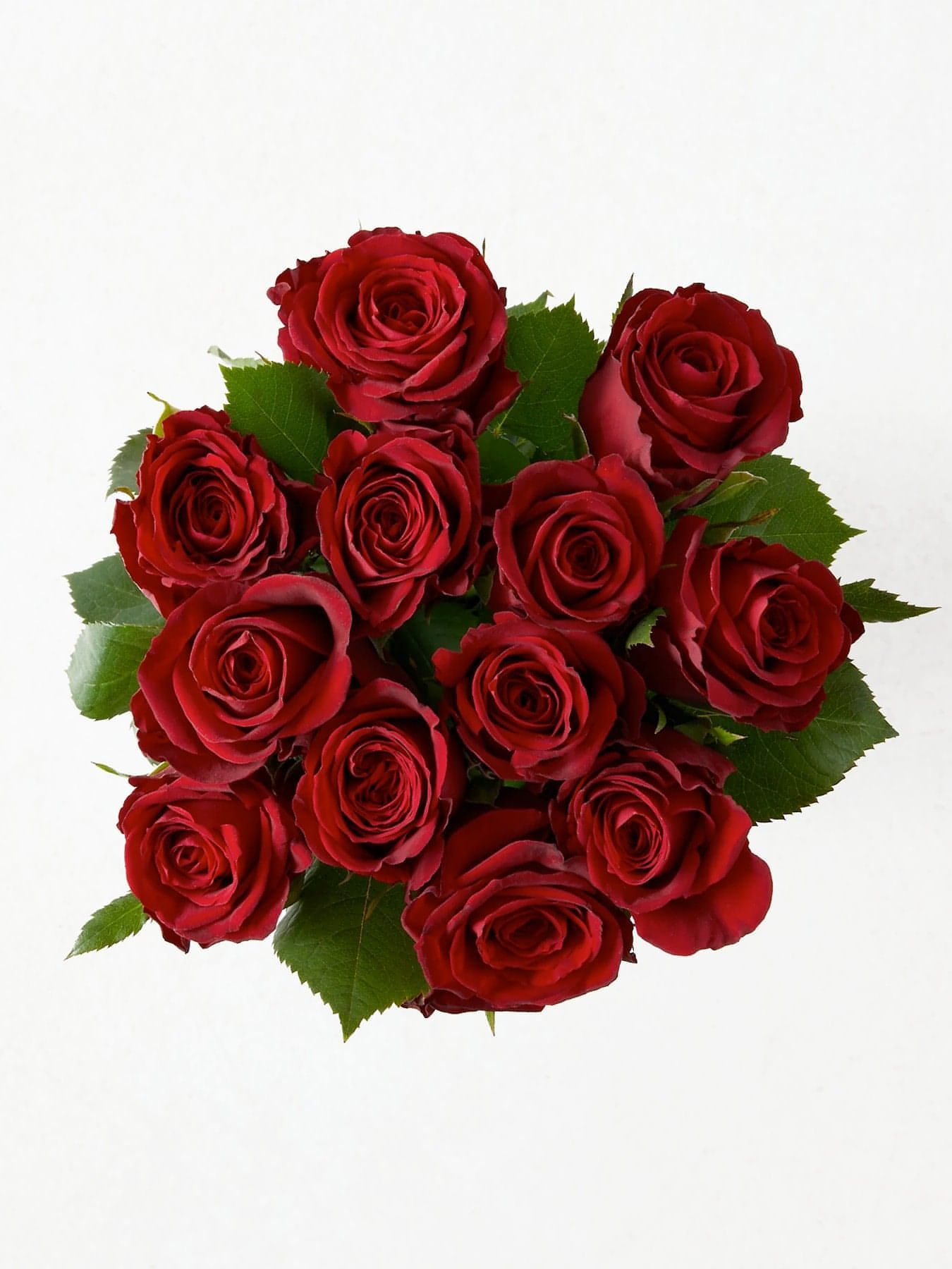 12 Red Roses in Vase - CherryBlossomDubai.ae