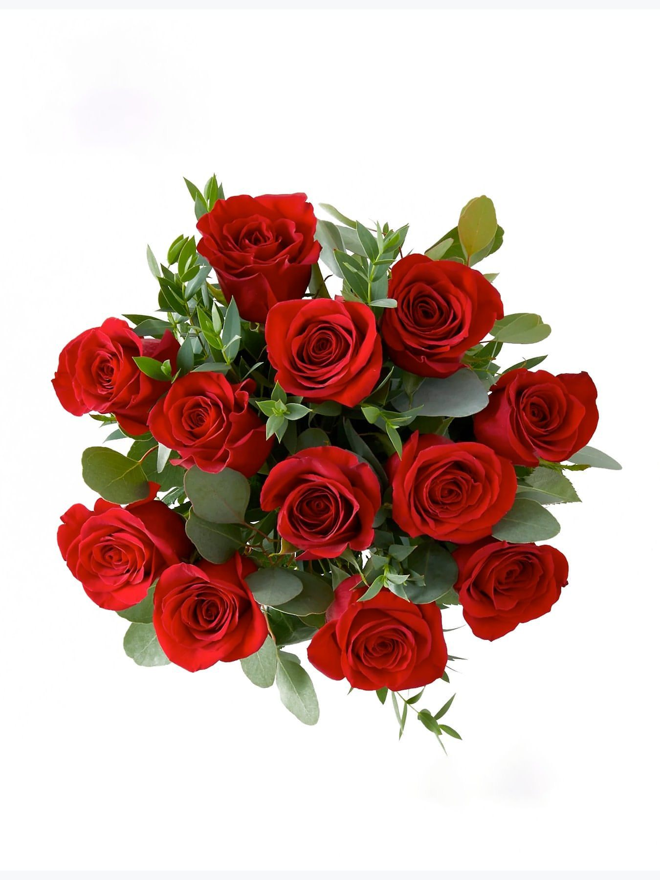 12 Red Roses with Eucalyptus in Vase - CherryBlossomDubai.ae