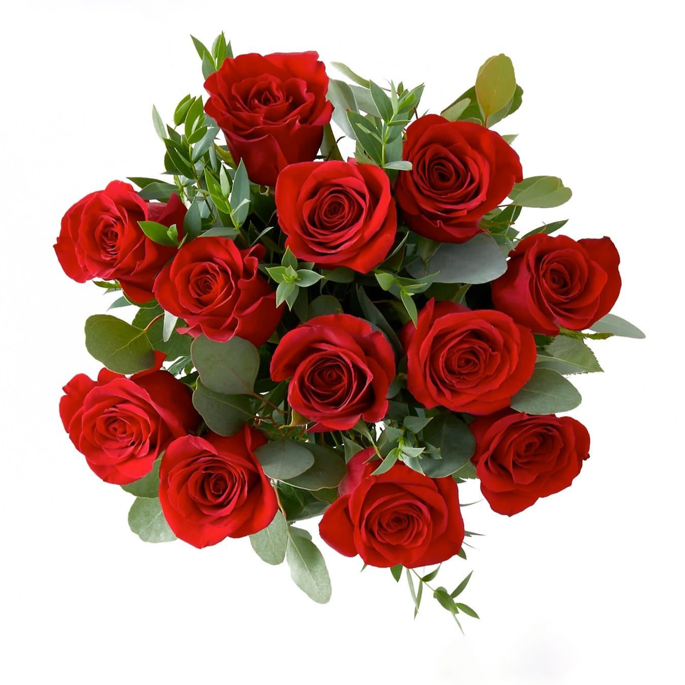 12 Red Roses with Eucalyptus - CherryBlossomDubai.ae