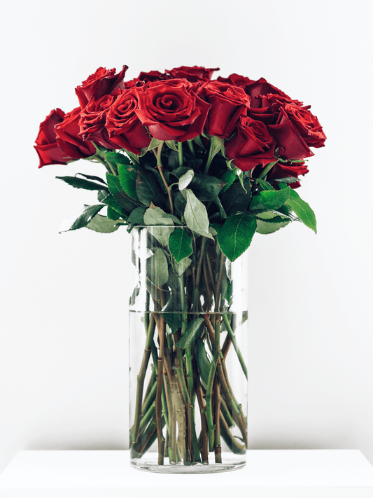25 Red Roses in Vase - CherryBlossomDubai.ae