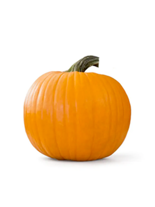 Medium Pumpkin