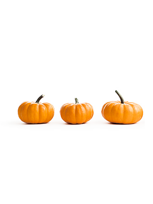 3 x Mini Pumpkins