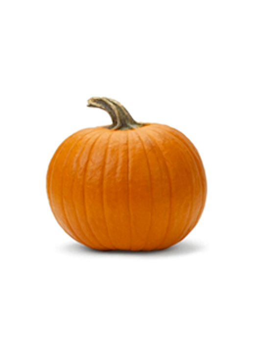 Small Pumpkin