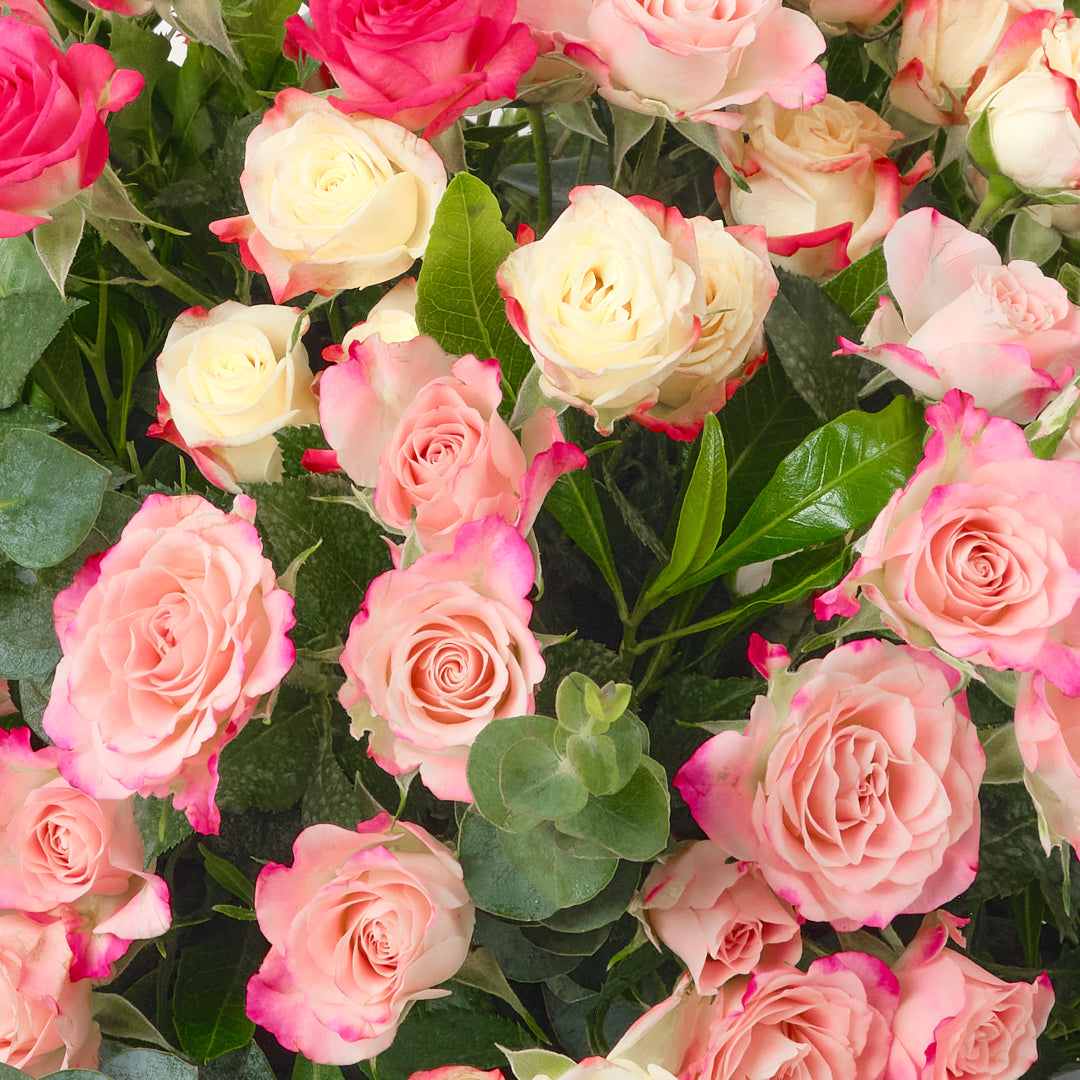 The Floral Fantasy