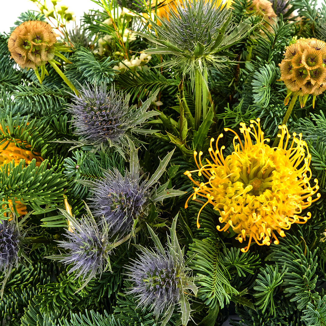 Thistle Wild Flower (Round)