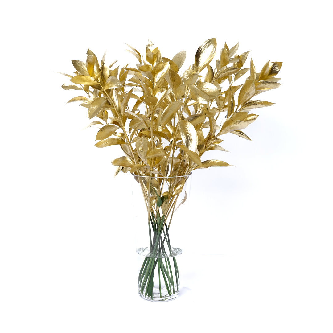 The Golden Magic Ruscus