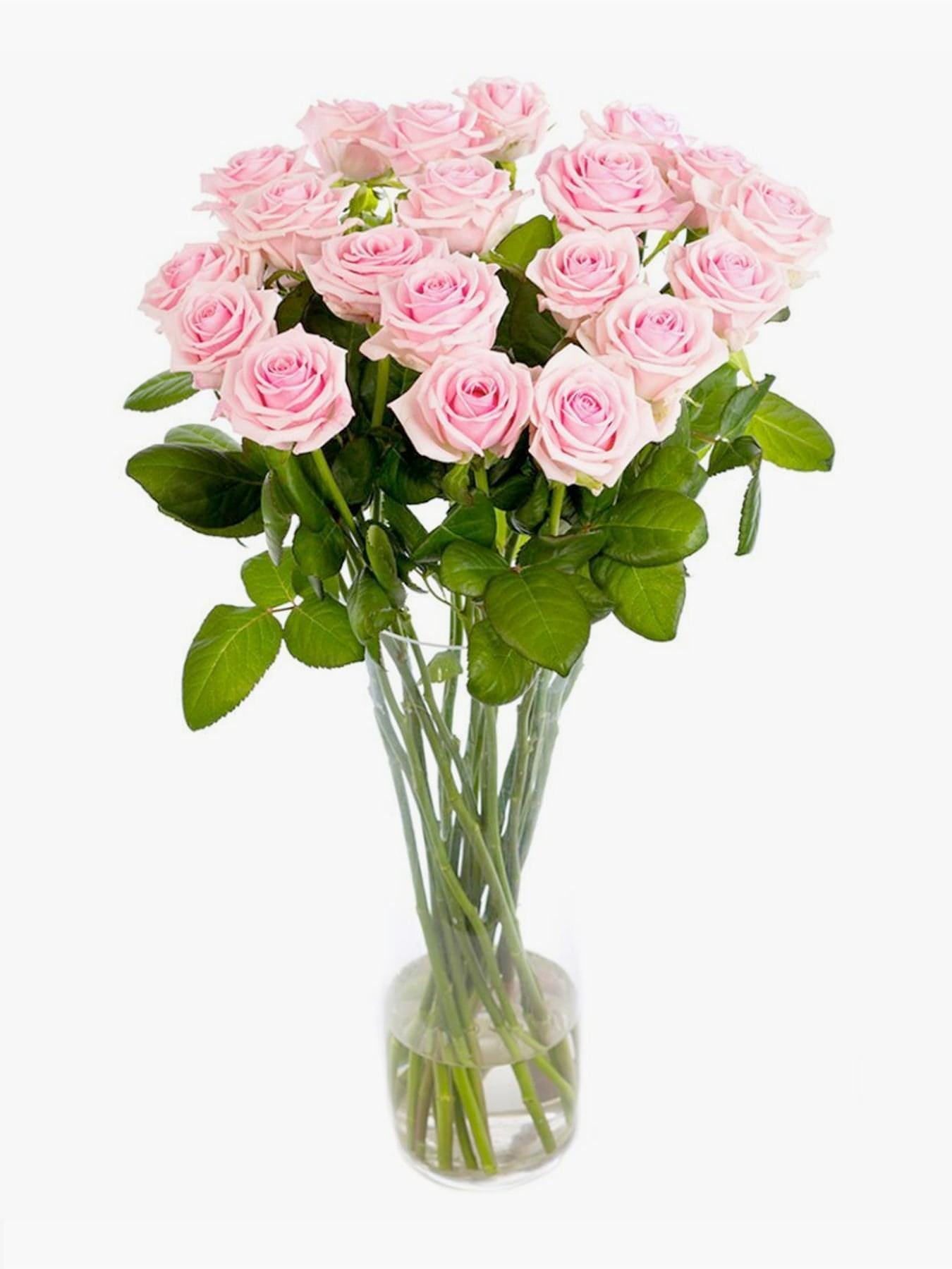 Sweetheart Pink Roses - CherryBlossomDubai.ae