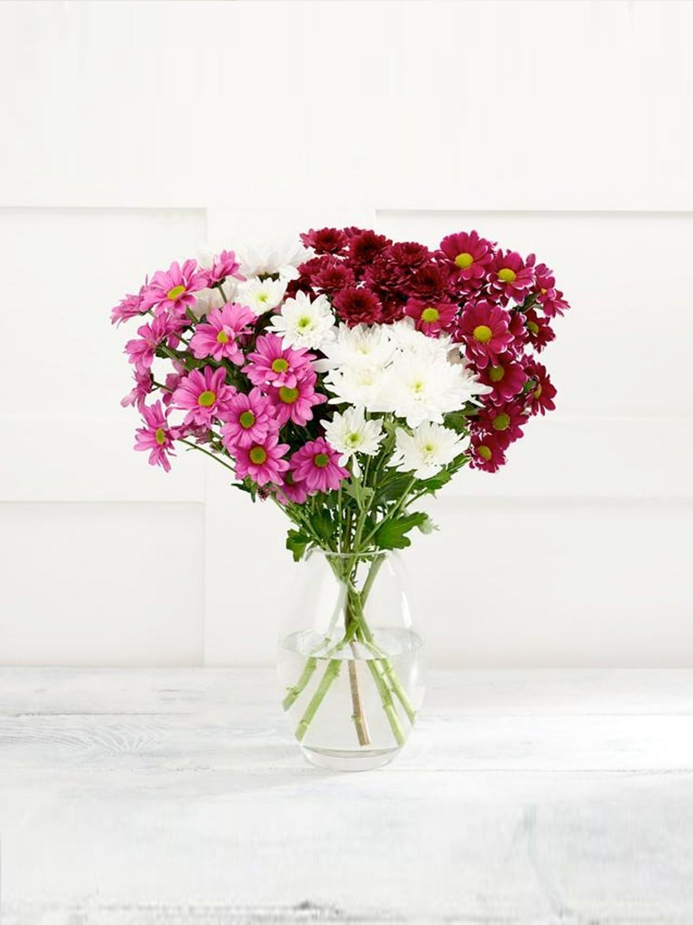 Mixed Chrysanthemums - CherryBlossomDubai.ae