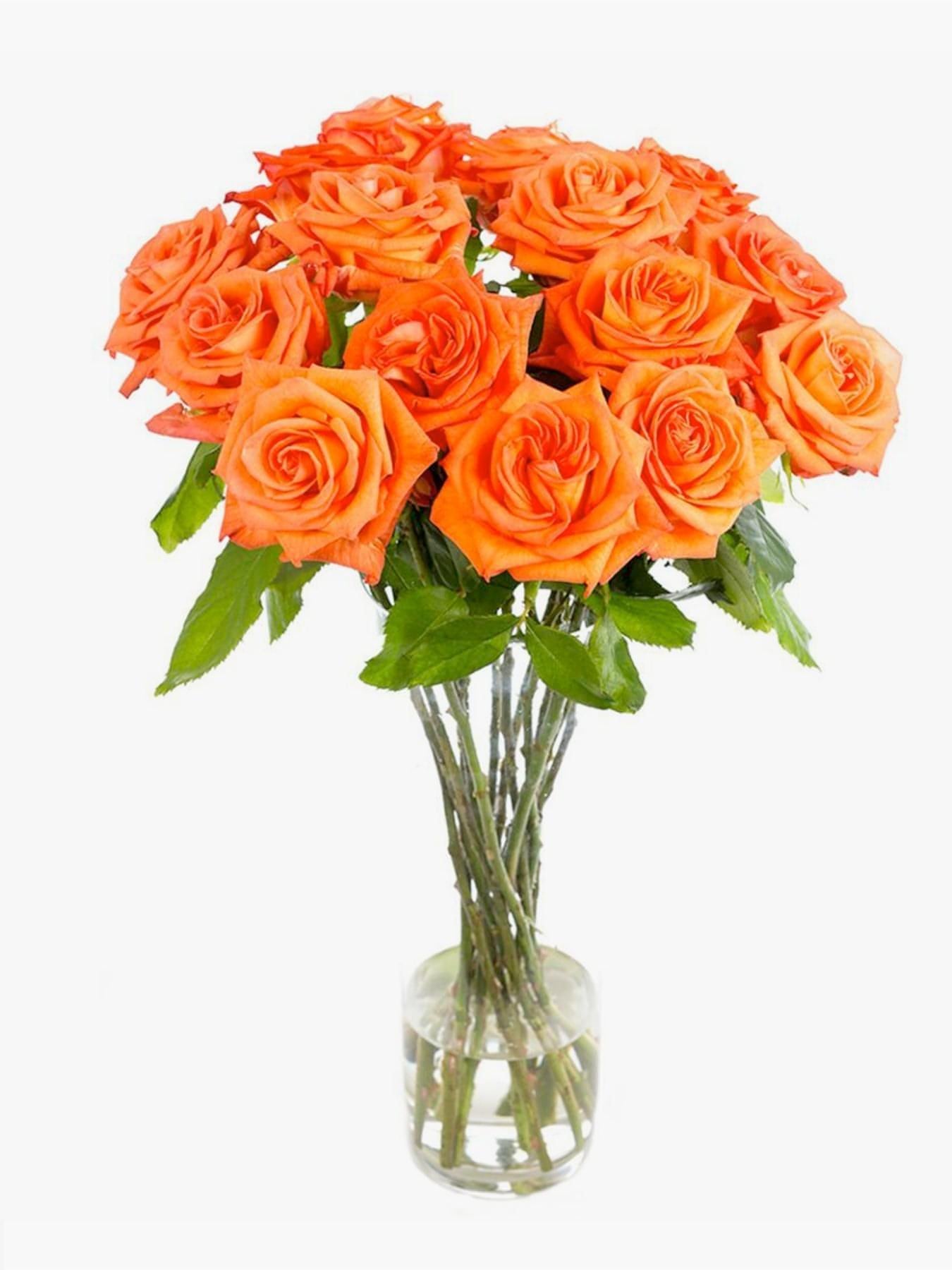 Mandarin Orange Roses | Bright Orange Rose Flower Bouquet Dubai ...