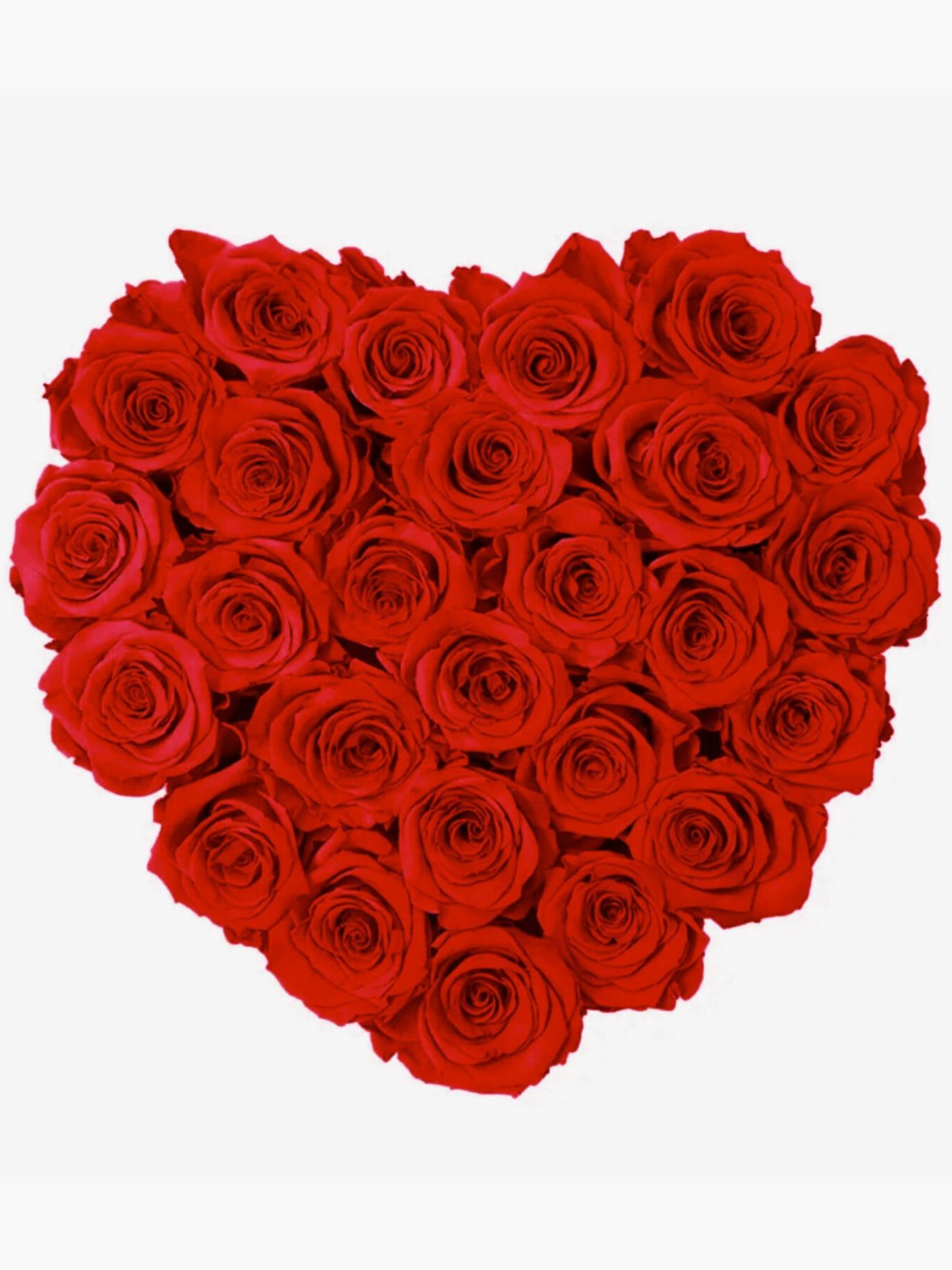 Red Roses in Black Heart Box - CherryBlossomDubai.ae