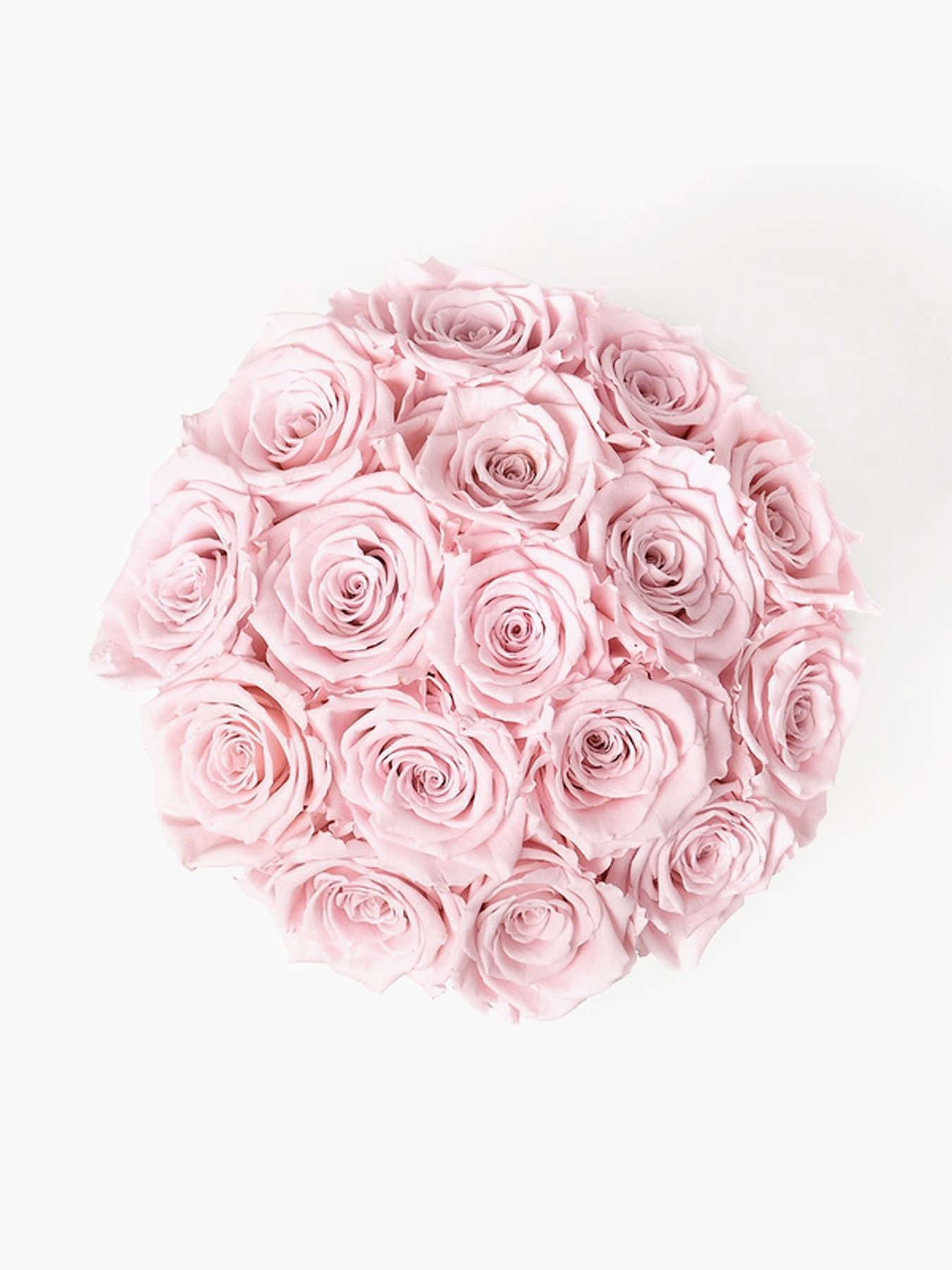 15 Pink Roses in White Hat Box - CherryBlossomDubai.ae