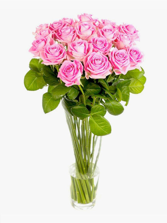 Fuchsia Pink Roses - CherryBlossomDubai.ae