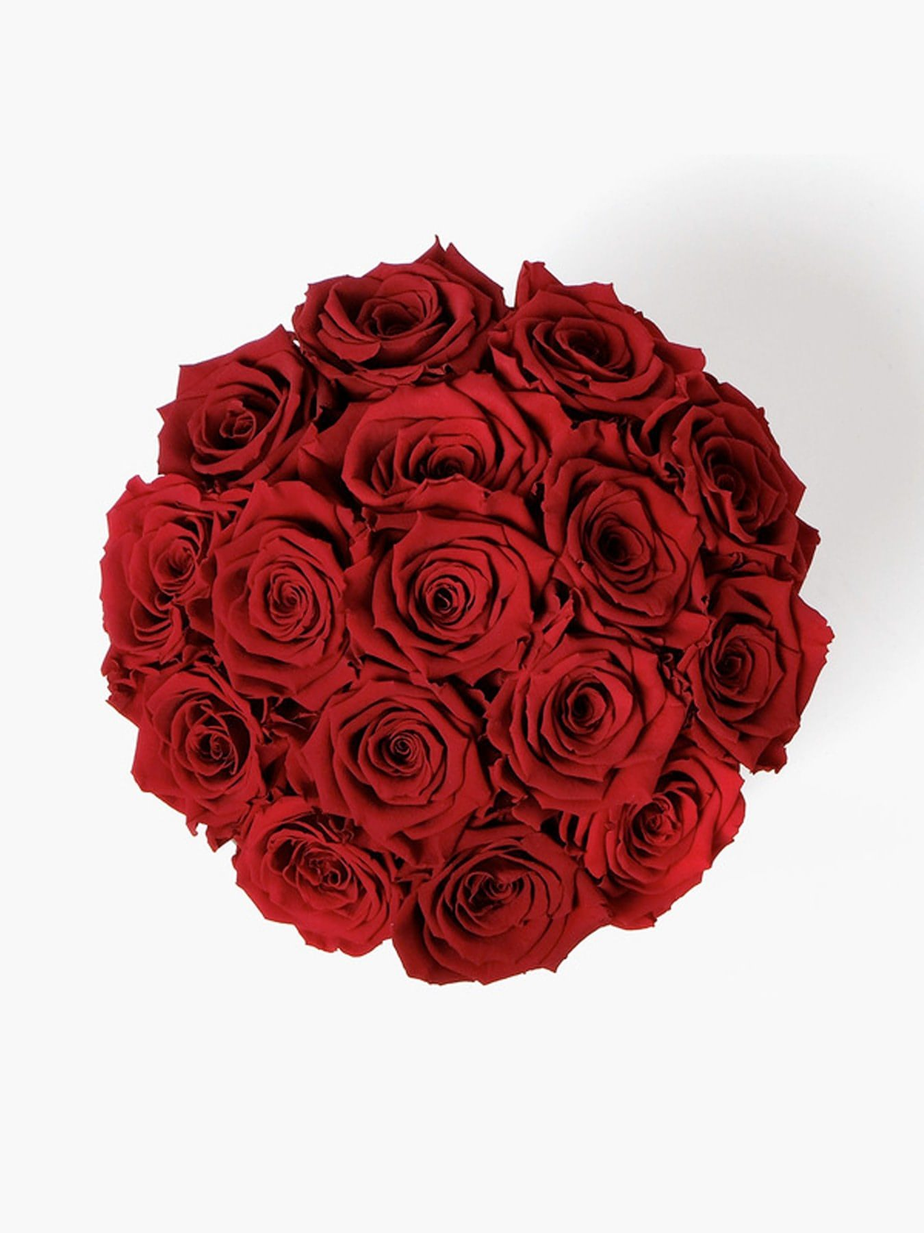 15 Red Roses in White Hat Box - CherryBlossomDubai.ae