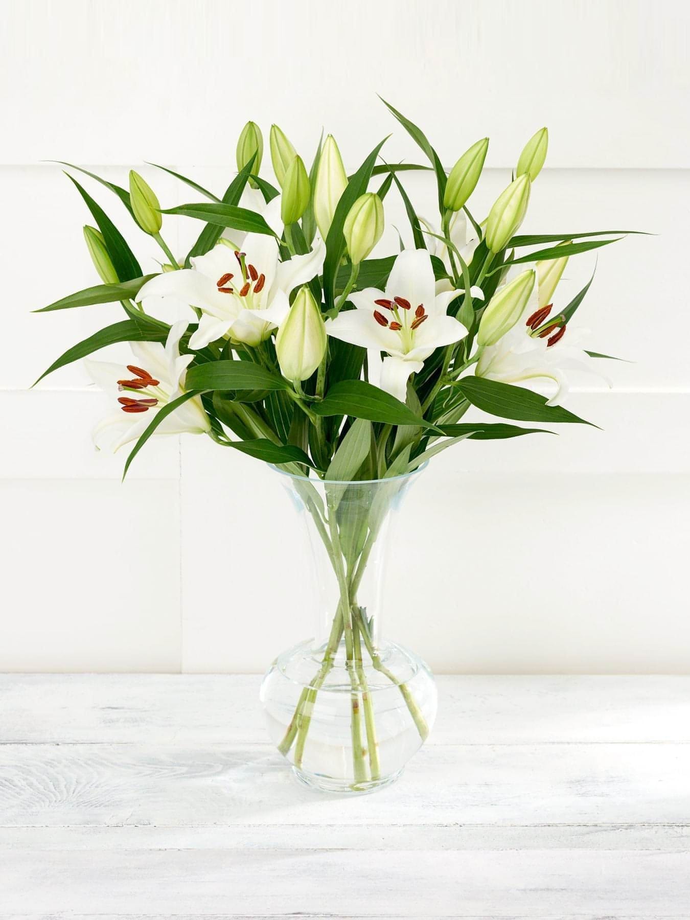 White Oriental Lilies - CherryBlossomDubai.ae