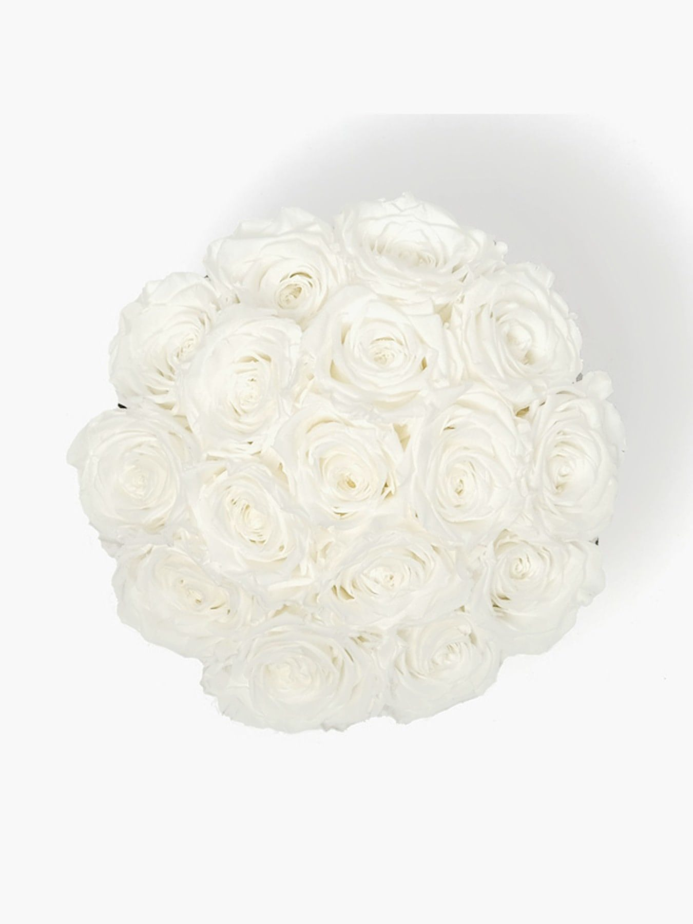 15 White Roses in White Hat Box - CherryBlossomDubai.ae