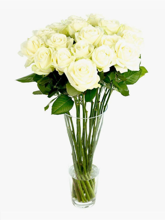 Soft White Roses - CherryBlossomDubai.ae