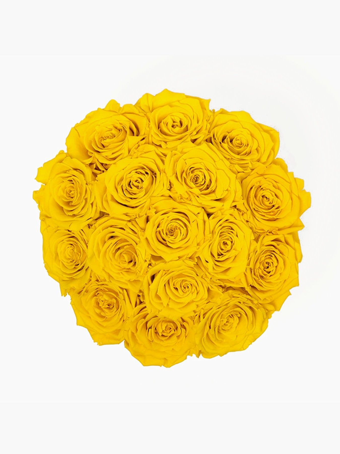 15 Yellow Roses in White Hat Box - CherryBlossomDubai.ae